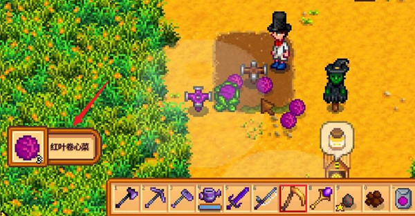 星露谷物语卷心菜有什么用 卷心菜价值分析_https://www.igeogame.com_游戏资讯_第2张